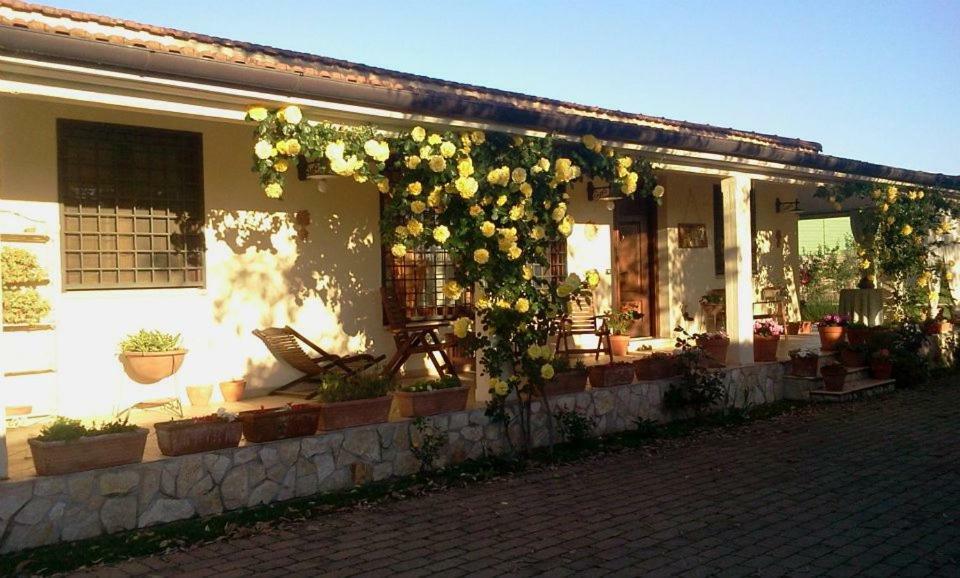 B&B Rolu Formello Ngoại thất bức ảnh